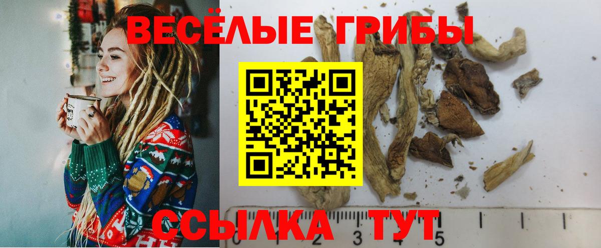 Тельмана  Галлюциногенные грибы Psilocybe  Вход с VPN 
