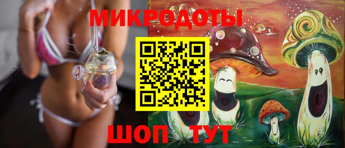 Псилоцибиновые грибы Psilocybe Тельмана